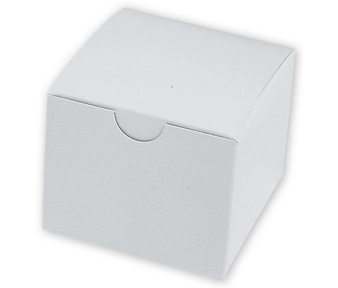 White single dental model cardboard box