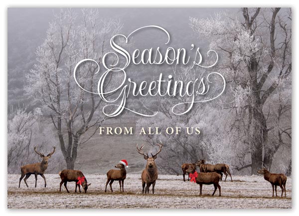 This is a custom printed holiday card with 8 deer, 2 with red bows and 1 with a Santa hat in a forest winter setting.