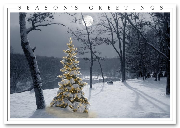 Send beautiful wishes with a calming snow scene with a white Christmas tree