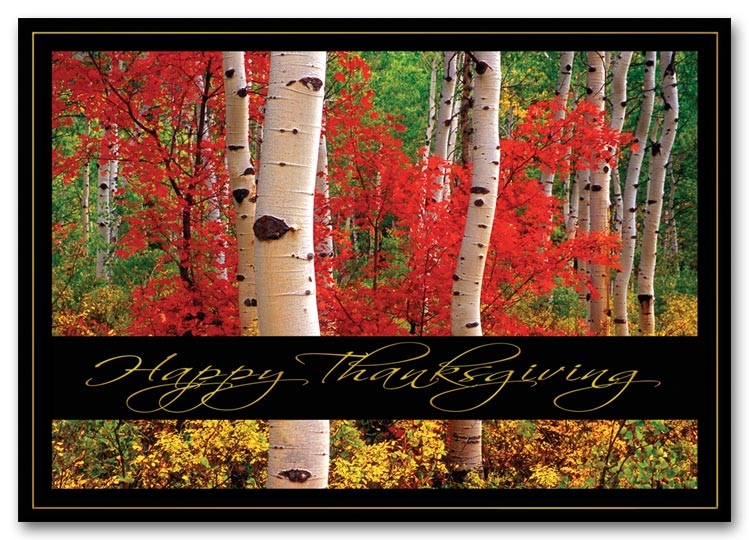 HH1637 - Personalized Thanksgiving Cards Printing, Fall Colors
