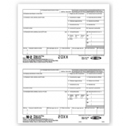 Bulk Laser W-2 Tax Forms - Employee Copy 2/Copy C