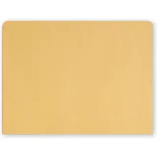 1076, File Pocket Envelopes, 40lb. Kraft, Non-Printed