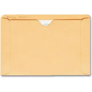 1419, Straight Tab Card File Pocket, 5 1/2 x 8 1/8, Buff