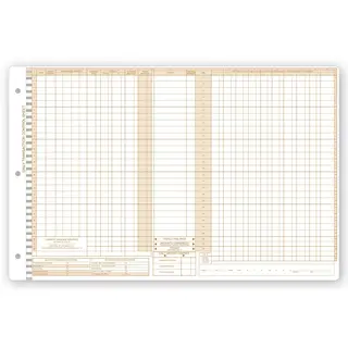 Daily Control Sheets, Pegmaster, Payment