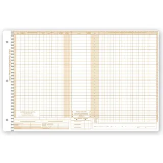 Daily Control Sheets, Pegmaster, Payment