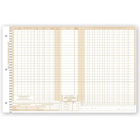 Daily Control Sheets, Pegmaster, Payment