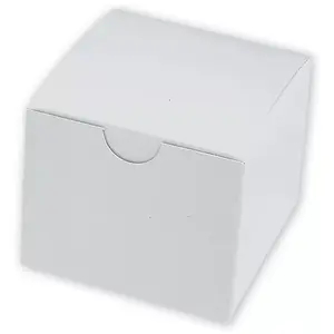 Model-Box-Single-White