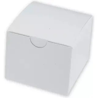 Model-Box-Single-White