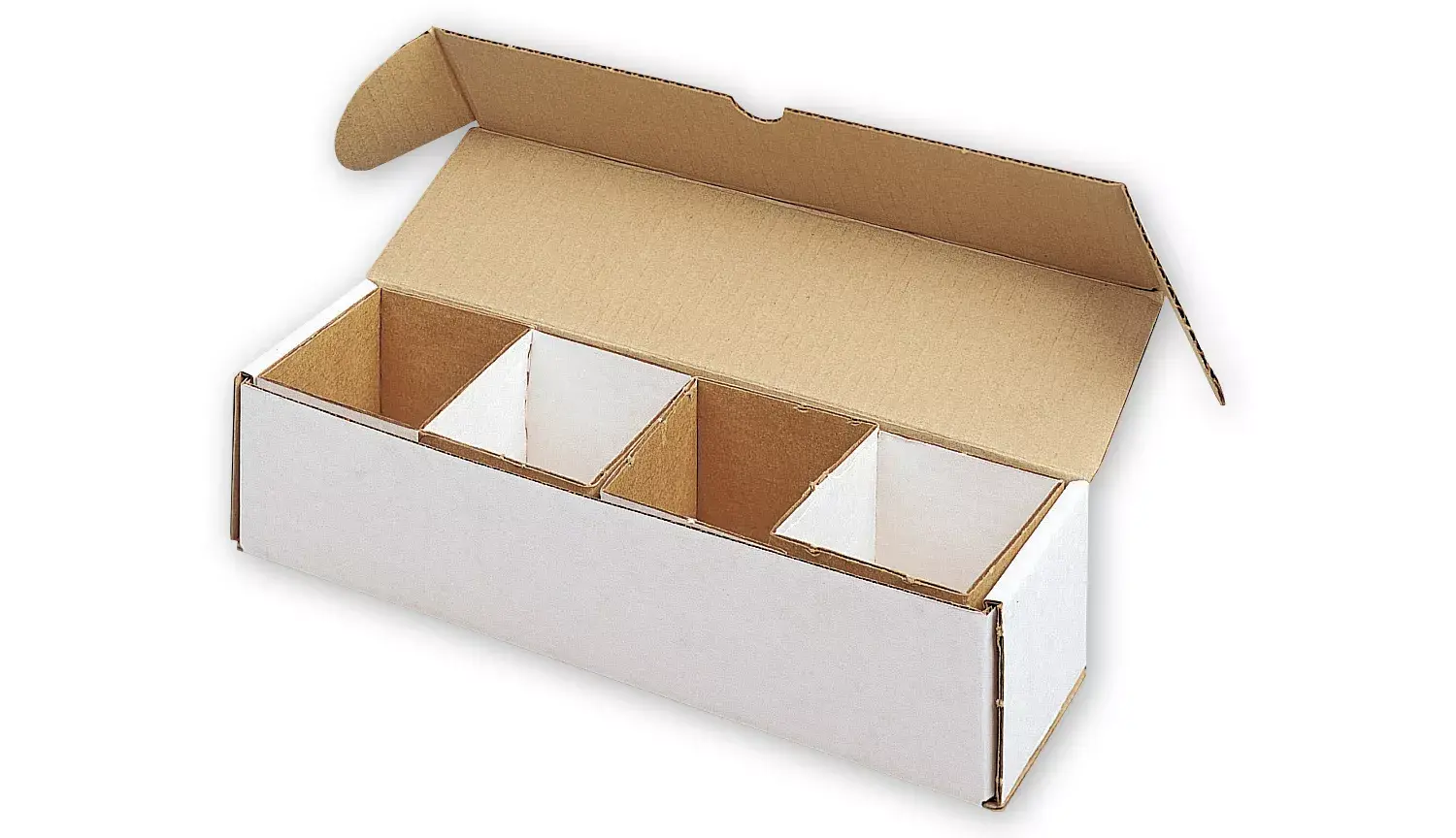 Dental Model Boxe