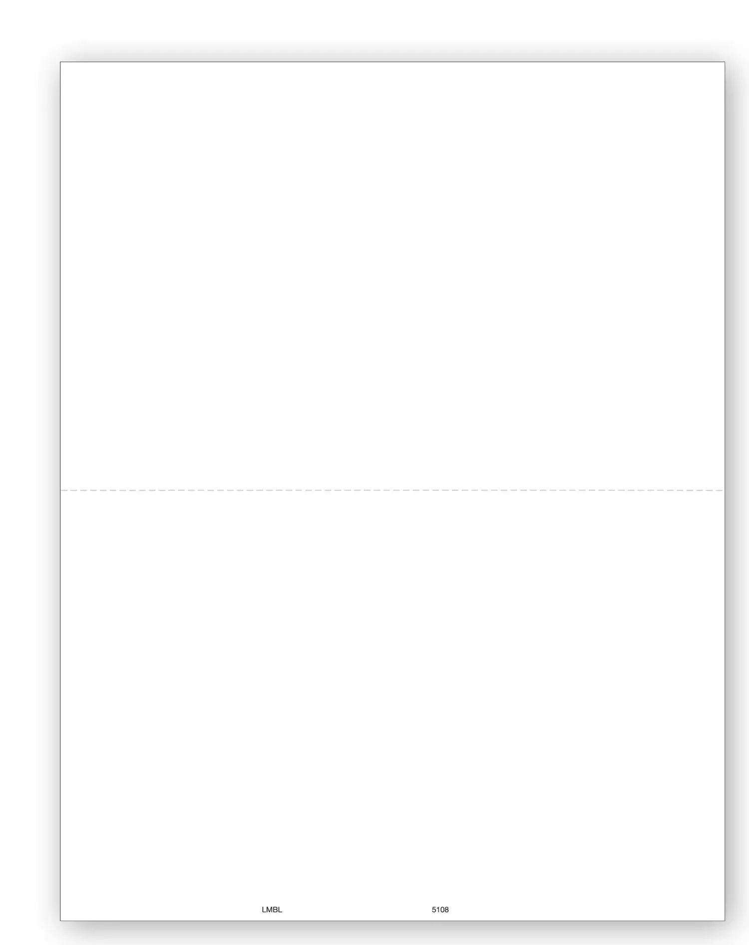 Blank Laser 1099-MISC Tax Forms with Backer