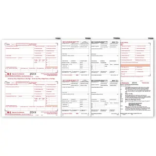 2-Up Laser W-2 Tax Forms Kit 