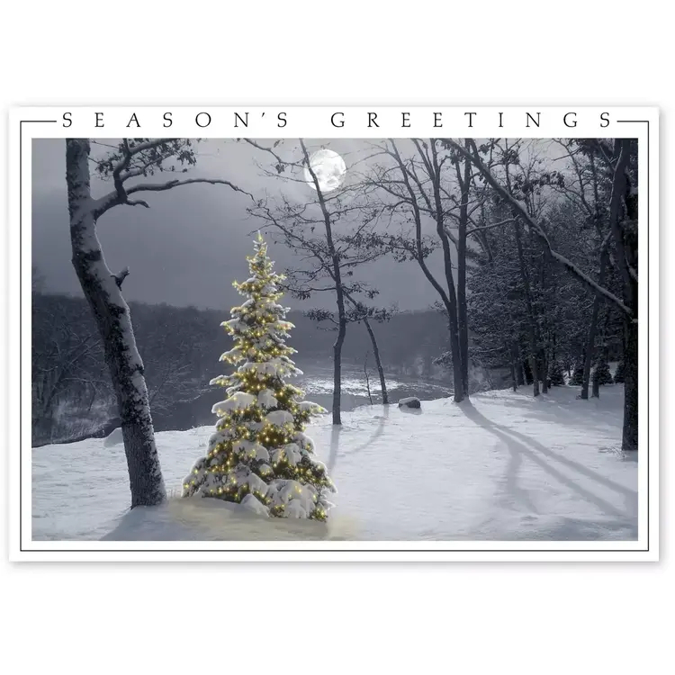 Winter Holiday Cards - All is Bright