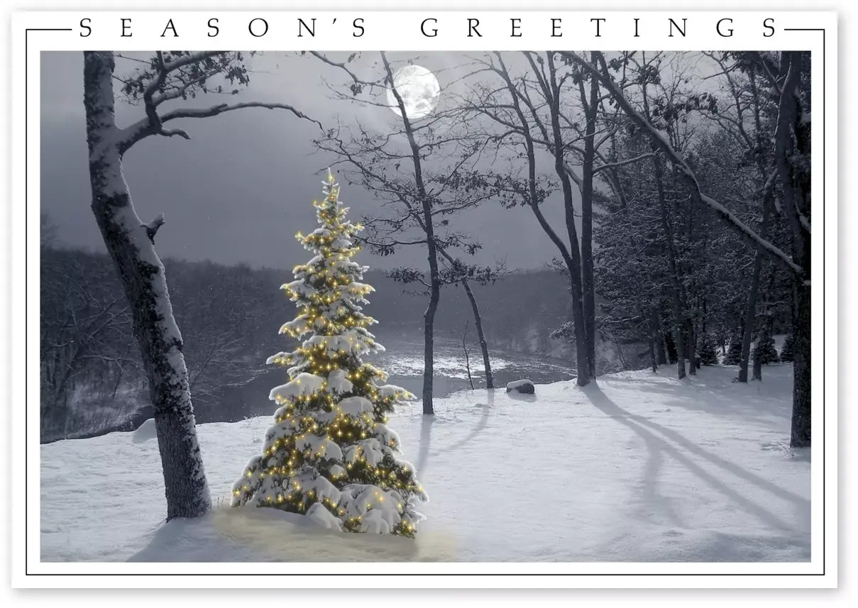 Winter Holiday Cards - All is Bright