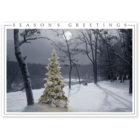 Winter Holiday Cards - All is Bright