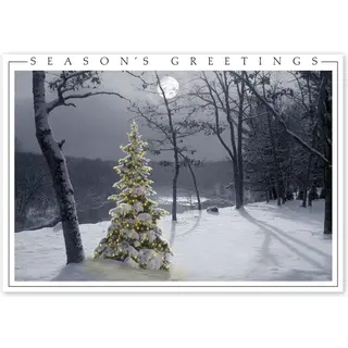Winter Holiday Cards - All is Bright