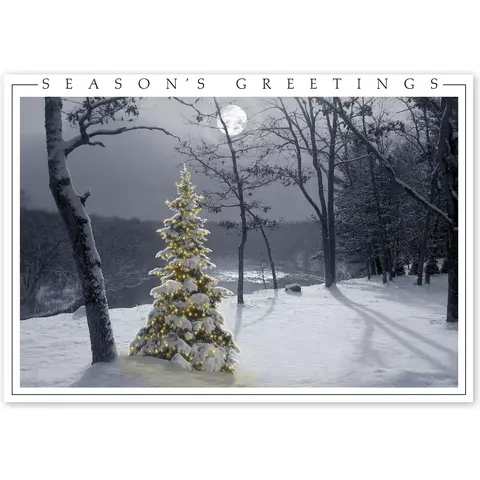 Winter Holiday Cards - All is Bright