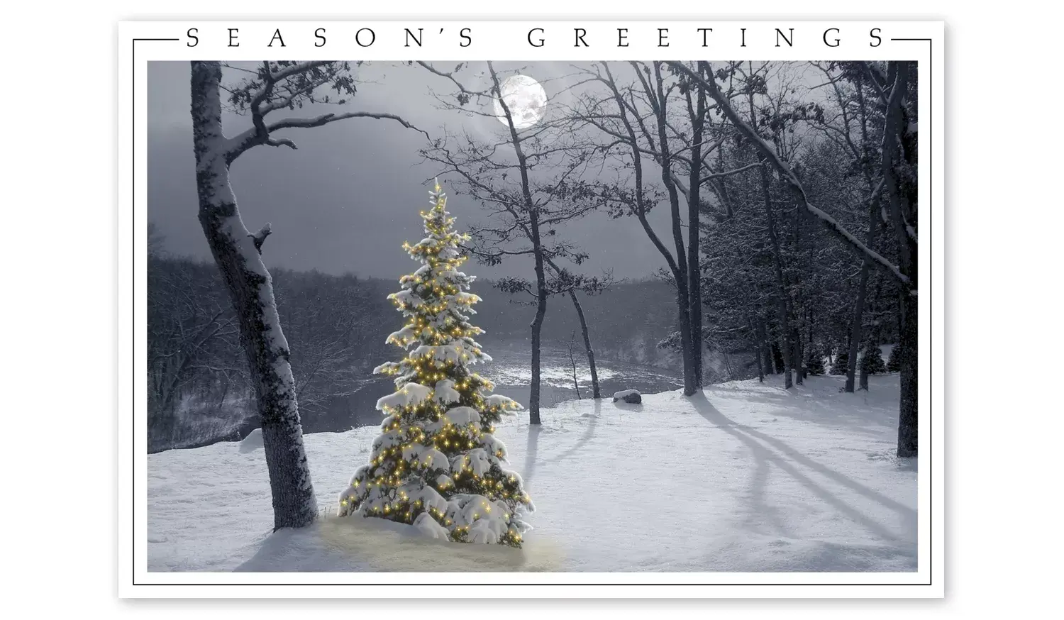 Winter Holiday Cards - All is Bright
