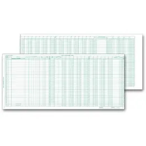 133021N, Payroll/Expense Journal