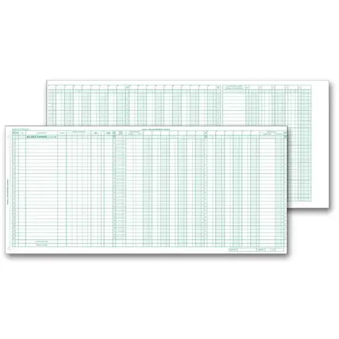 133021N, Payroll/Expense Journal