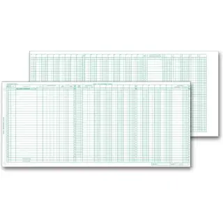 133021N, Payroll/Expense Journal