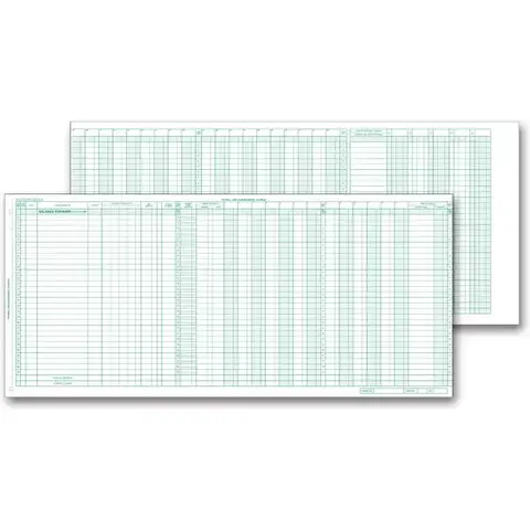 133021N, Payroll/Expense Journal