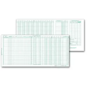 134021N, Top Payroll/Expense Journal