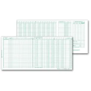 134021N, Top Payroll/Expense Journal