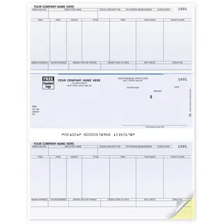 Laser Sage Payroll Checks
