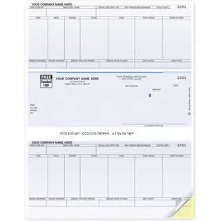 Laser Sage Payroll Checks