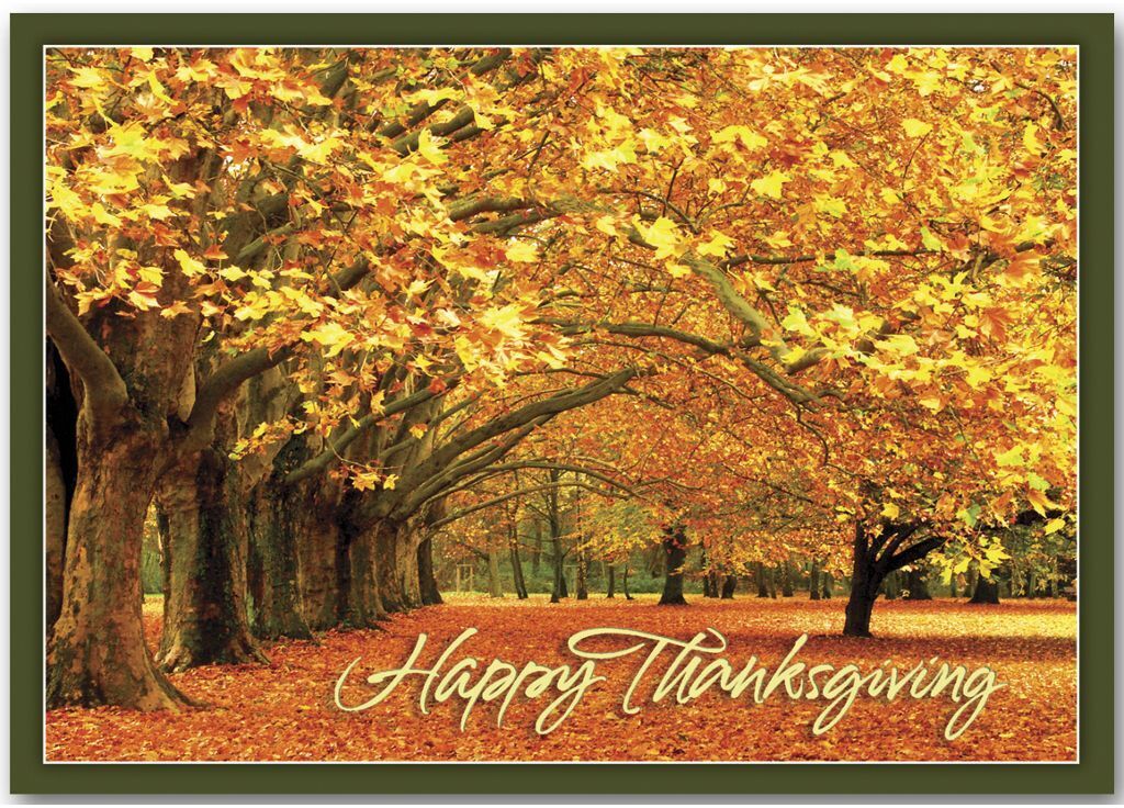 Canopy of Gold Thanksgiving Card for a Business
