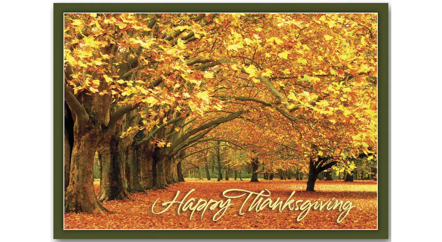 Canopy of Gold Thanksgiving Card for a Business