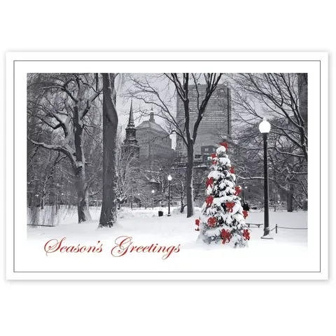HP14305, Boston Splendor Christmas Cards