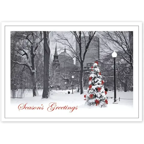 HP14305, Boston Splendor Christmas Cards