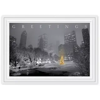 HP14306, City Park Glow Christmas Cards