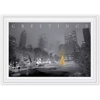 HP14306, City Park Glow Christmas Cards