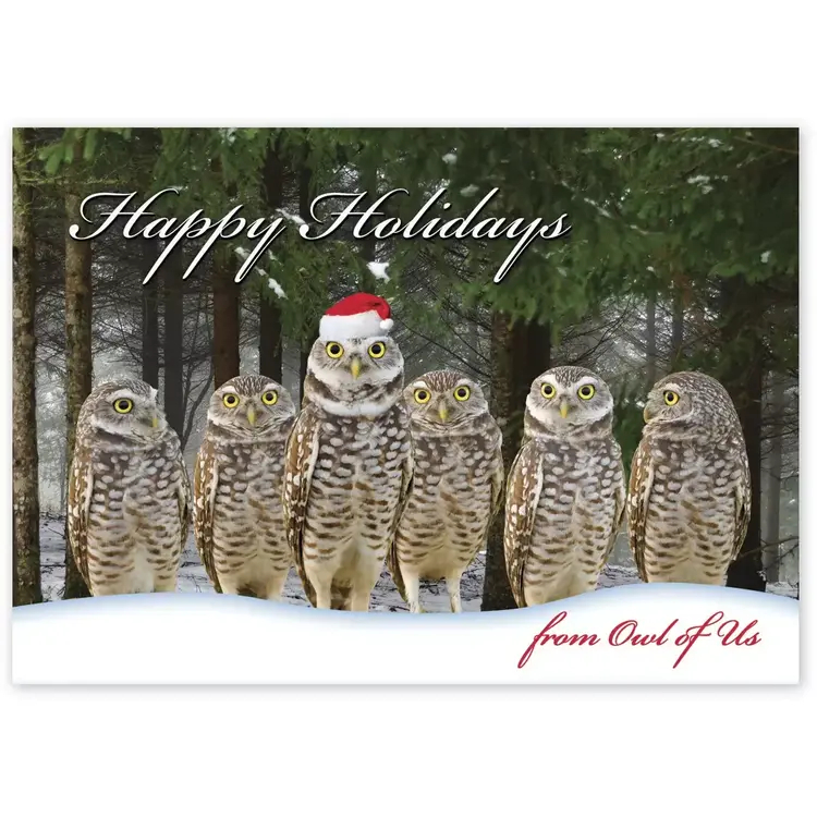 From Owl of Us Christmas Cards