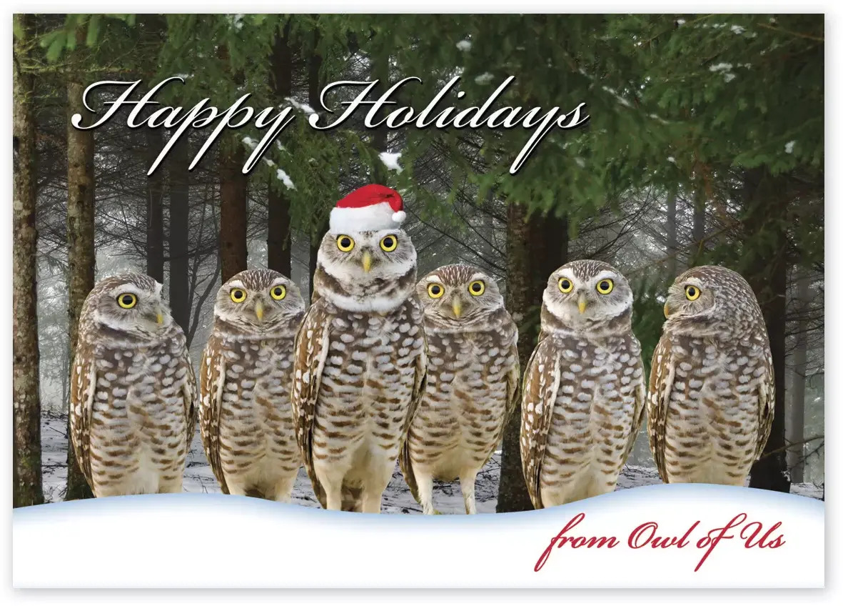From Owl of Us Christmas Cards
