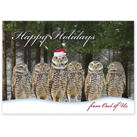 From Owl of Us Christmas Cards