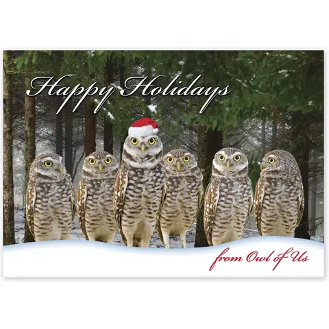 From Owl of Us Christmas Cards