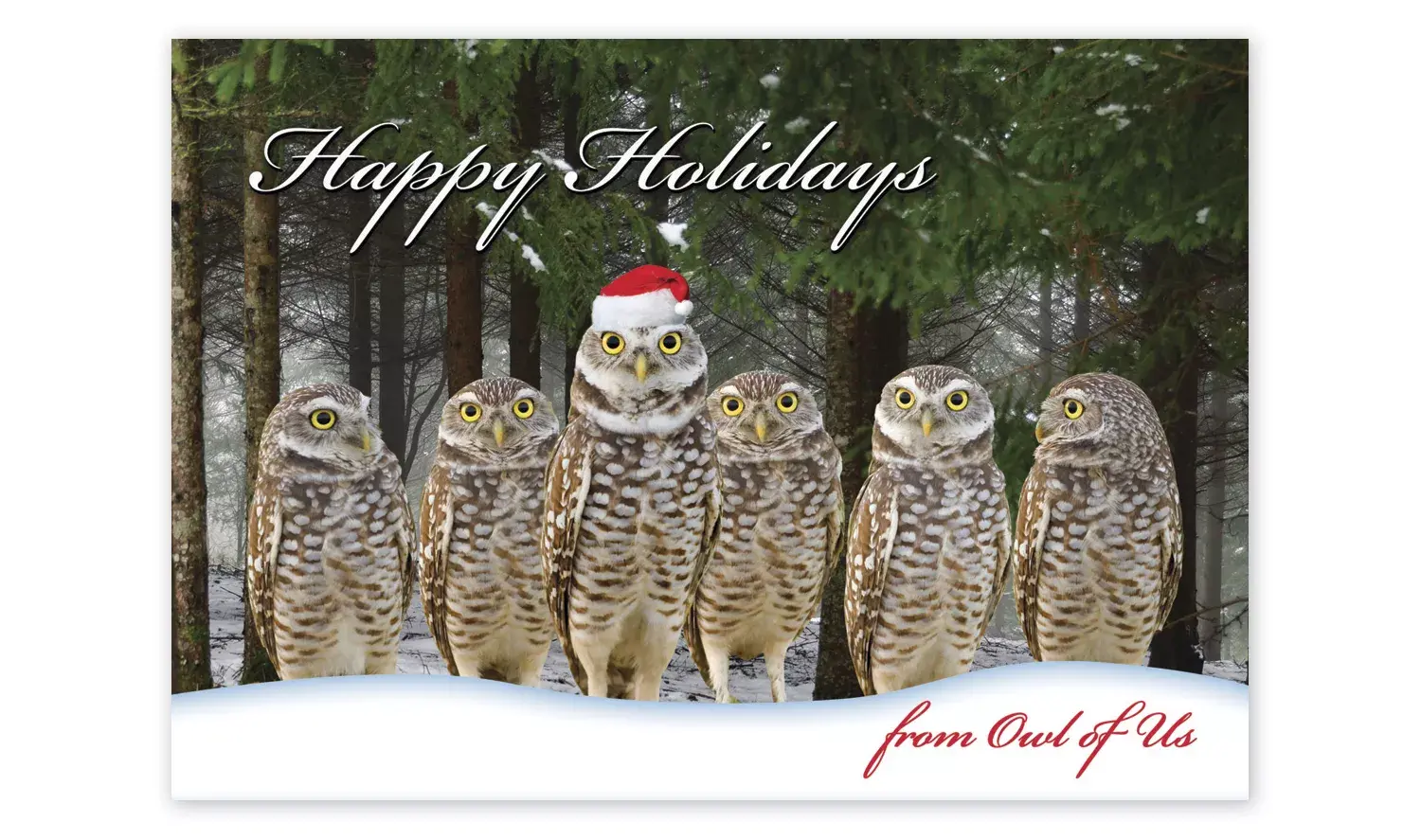 From Owl of Us Christmas Cards