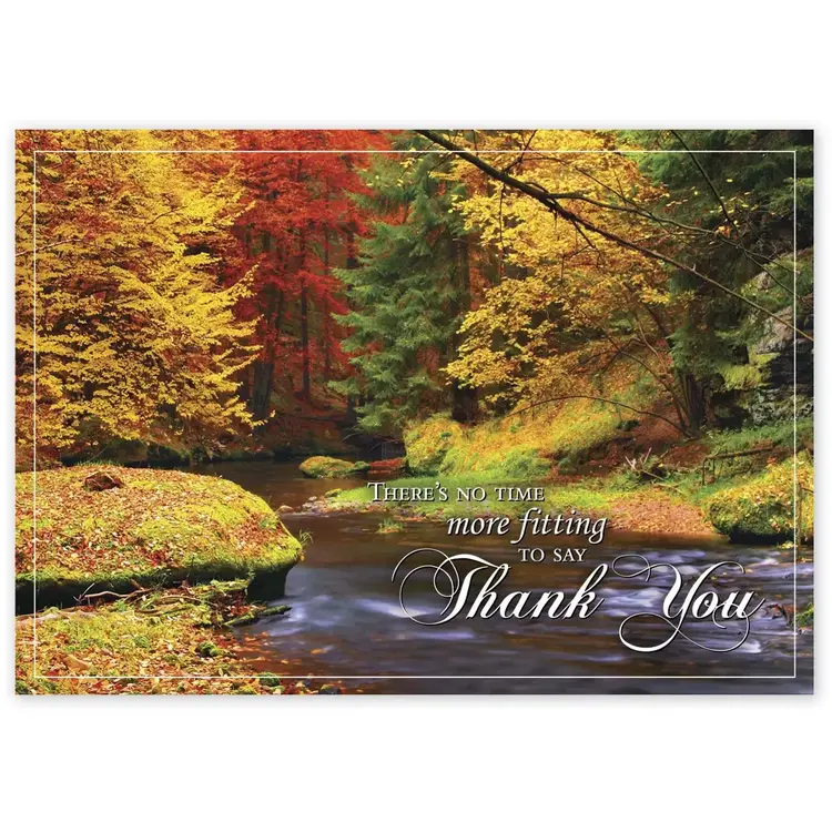 HP14319, Splashes Of Color Thanksgiving Cards