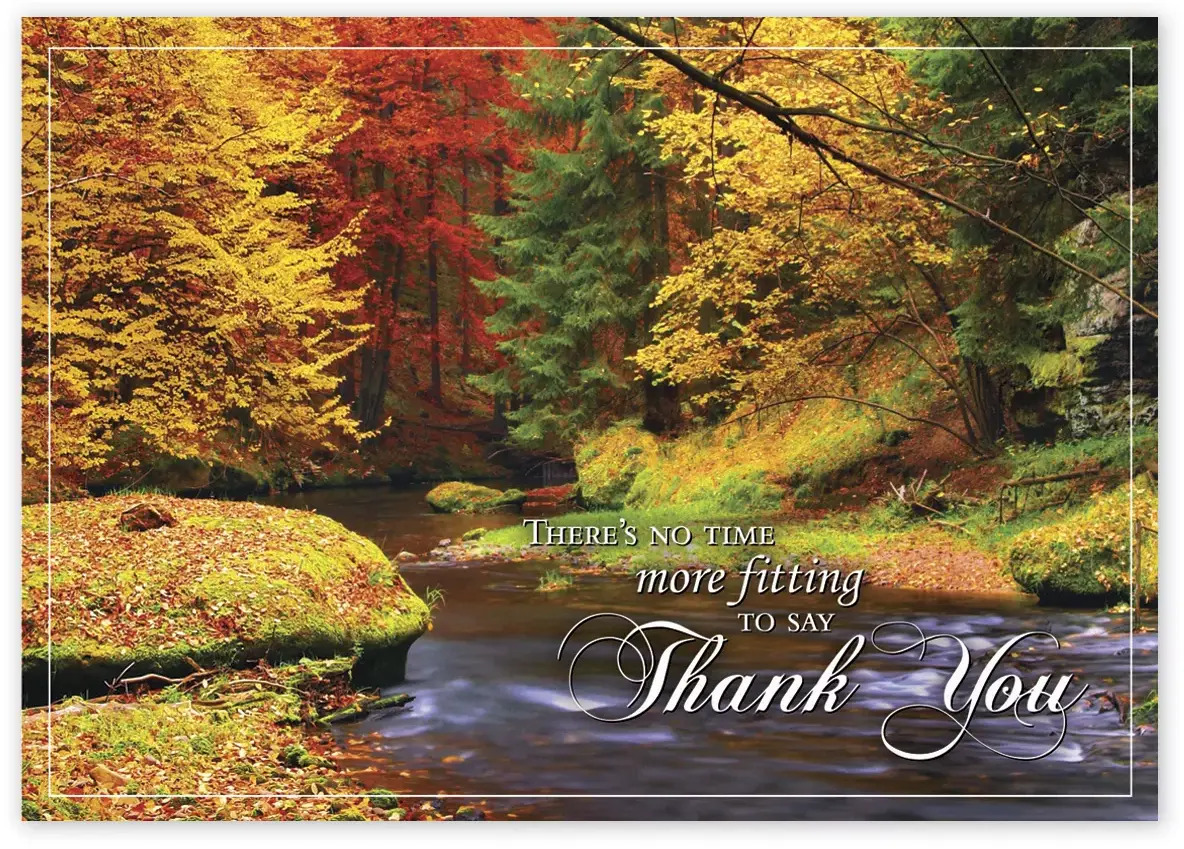 HP14319, Splashes Of Color Thanksgiving Cards
