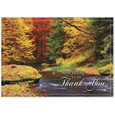 HP14319, Splashes Of Color Thanksgiving Cards