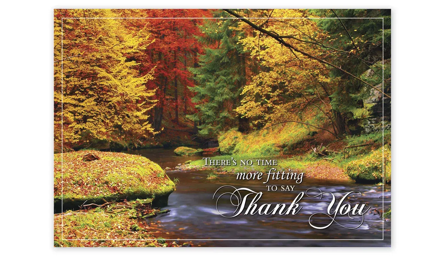 HP14319, Splashes Of Color Thanksgiving Cards
