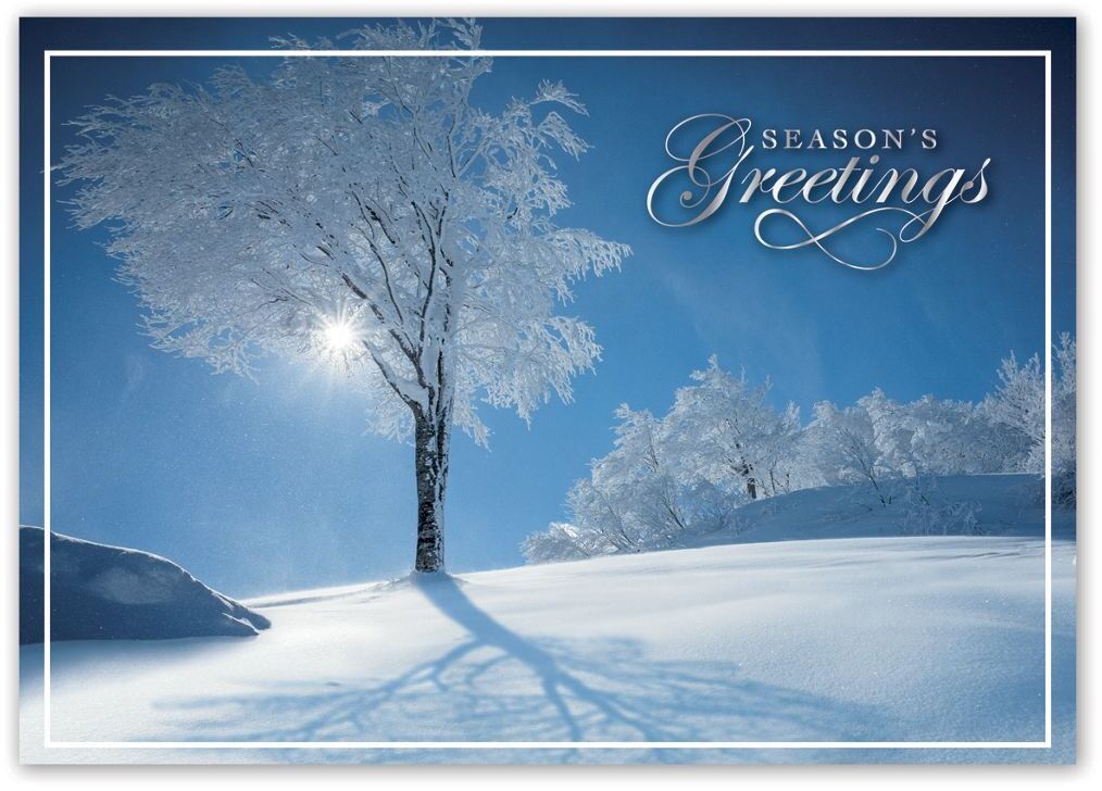 HP15303, Sky Blue Holiday Cards