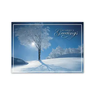 HP15303, Sky Blue Holiday Cards