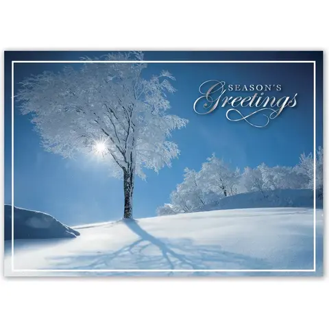 HP15303, Sky Blue Holiday Cards