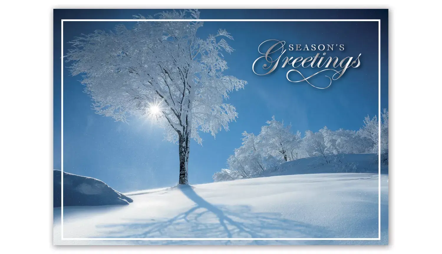 HP15303, Sky Blue Holiday Cards