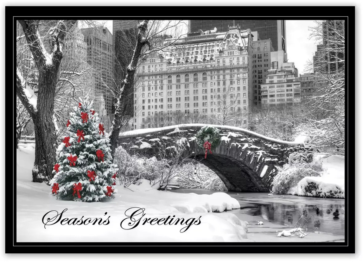 HP15308, City Snow Day Holiday Cards