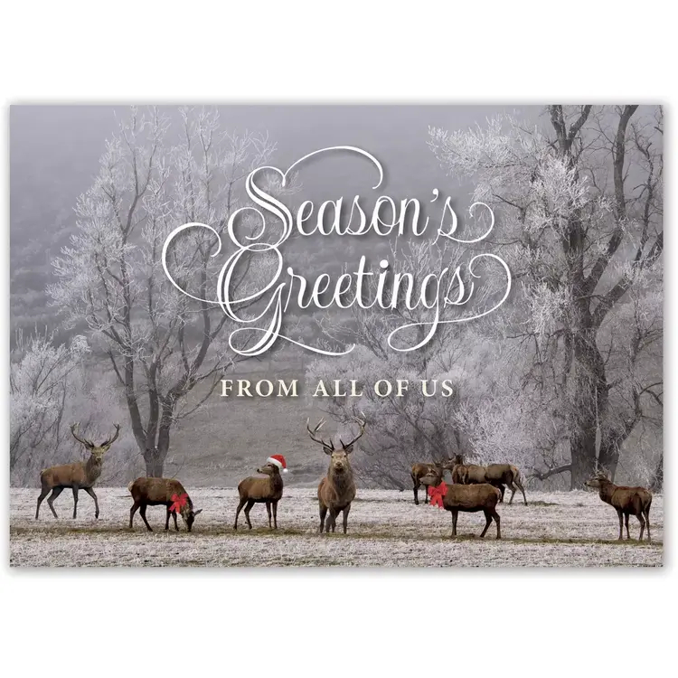 Holiday Card with 8 Deer in Forest
